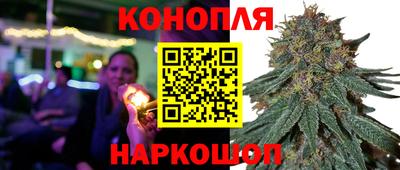скорость Бийск