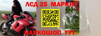 скорость Бийск