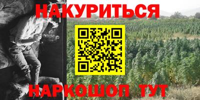 скорость Бийск